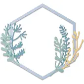 SIZZIX Thinlits Snijmal Set - Botanical Frame - 6 stuks