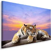 Karo-art Schilderij - Rustende Tijger, Premium Print, 5 maten