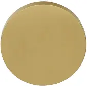 Formani David Rockwell ECLIPSE DRB53 blindplaatje - PVD mat goud
