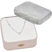 Fossil Ketting zilver / transparant