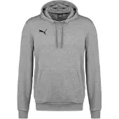 Puma Teamgoal 23 Causals Hoodie Grijs S Man