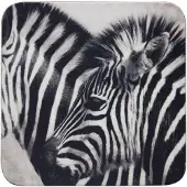 Mars & More Onderzetters - zebra -