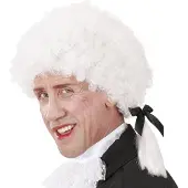Finidi Carnavalsaccessoires: Mozart pruik of Mozart Kugel
