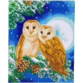 Craft Buddy Diamond painting - kit Moonlight Perch