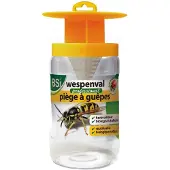 Bsi Biologische Wespenval Tegen Wespen
