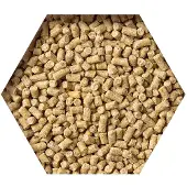 Beyers Goldcorn Koopman 2,5 kg