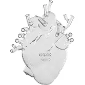 Seletti Love In Bloom Vaas Doorzichtig - Vazen Glas Clear - 09922
