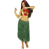 Finidi Carnavalsartikelen: Hawaiirokje groen-S/L