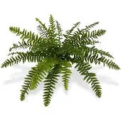 Maxifleur Kunstplanten Boston Varen deluxe kunstplant x21 50cm