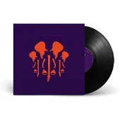 VERYCORDS The Elephants Of Mars