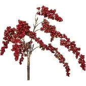 Ptmd collection PTMD Berry Plant burgundy berry hanging bush
