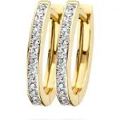 Blush 14 karaats geelgouden oorsieraden met zirkonia 7234bzi