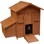 Duvo+ 603/004 Woodland Kippenhok Goldie Bruin 121 x 81,6 x 109 cm