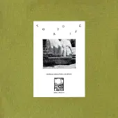 Ginza.se Tortoise - Rhythms, Resolutions & Clusters (LP)