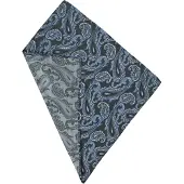 Michaelis pocket square, groene paisley pochet zijde |