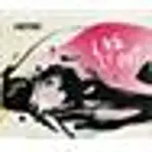 Universal Music Live it out - Edition Digipack
