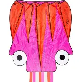 Dragon Fly Vlieger - Octopus - Roze/Oranje - 124 x 127 cm - Vanaf 7 jaar