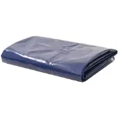 vidaXL Dekzeil 650 g/m² 5x6 m blauw