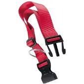 Ferplast Club 40 Mm Hondenhalsband