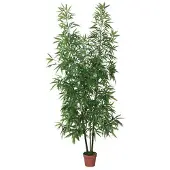 Intergard Kunstplanten bamboe 200cm