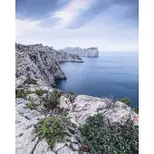 Komar Vliesbehang Digitale print vlies - Bizarre Coast - Afmeting 200 x 250 cm (1 stuk)