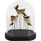 Tom Stolp Isabel Vlinders 26 X 33 Cm Glas Goud/zwart