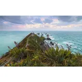 Overig The Nuggets Fotobehang - Meerkleurig - 2,80m X 450cm