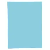 Exacompta SUPER 160 Pak van 100 mappen met 1 klep - 24x32cm - - Lichtblauw - 348006E