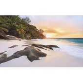 Komar Vliesbehang Digitale print vlies - Nature - Afmeting 400 x 250 cm (1 stuk)