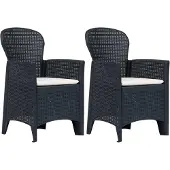 vidaXL Tuinstoelen 2 st met kussen rattan-look kunststof antraciet