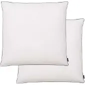 vidaXL Kussens 2 st licht 80x80 cm dons-/verenvulling wit