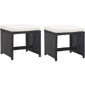 vidaXL Tuinkrukken 2 st met kussens poly rattan zwart