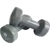 SVELTUS Dumbbell Epoxy 2 X 3 Kg Grijs