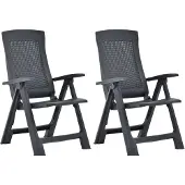 vidaXL Tuinstoelen 2 st verstelbaar kunststof antracietkleurig