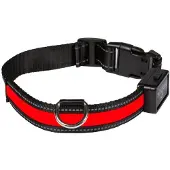 Eyenimal Usb Hondenhalsband