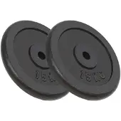vidaXL Halterschijven 2 st 2x15 kg gietijzer