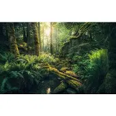Overig Fotobehang Elves Cathedral - Meerkleurig - 2,80m X 450cm