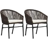 vidaXL Tuinstoelen 2 st PE-rattan bruin