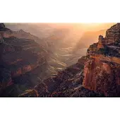 Overig Fotobehang Grand Wonder - Bruin - 2,80m X 450cm