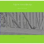 Brave New Books Trutje het avontuurlijke kipje
