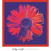 Blokker Andy Warhol - Daisy 1982 Kunstdruk 90x90cm