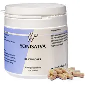 Holisan Ayurveda Shijalit plus 45 capsules