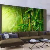 Artgeist Fotobehang – Behangpapier - Fotobehang - jungle - bamboo 300x231 -