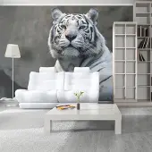 Artgeist Fotobehang – Behangpapier - Fotobehang - Bengaalse tijger in dierentuin 250x193 -