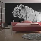 Artgeist Fotobehang – Behangpapier - Fotobehang - Witte tijger 200x154 -