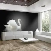 Artgeist Fotobehang – Behangpapier - Fotobehang - zwaan (zwart en wit) 400x309 -