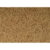 Wielink Paddy rijst 20 kg