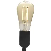Enzo Denver LED Edison ST64 filament E27 4,9W dimbaar SMART Wi-Fi TUYA - LED5120