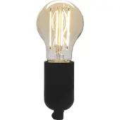 Enzo Denver LED GLS filament E27 4,9W dimbaar SMART Wi-Fi TUYA - LED5110