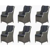 AVH-Collectie Set van 6 stuks Darwin dining tuinstoel grijs wicker